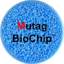 Sự Khác Biệt của Giá Thể Vi Sinh Mutag Biochip Với Các Giá Thể Vi Sinh Khác